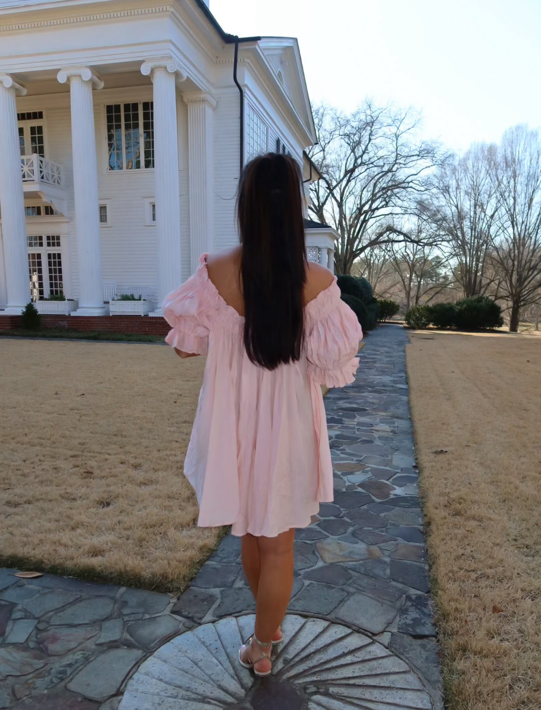 Mini Embroidery Short Puff Sleeve Dress