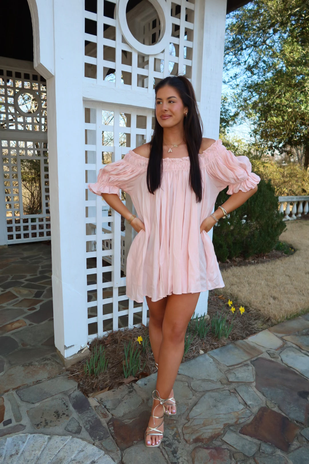 Mini Embroidery Short Puff Sleeve Dress